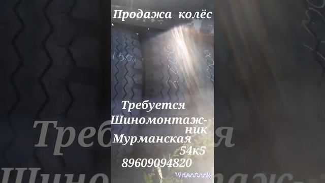 продажа колёс !!!!Требуется шиномонтажник на постоянную работу ,можно без опыта !!!Мурманская 54к5 смотреть онлайн