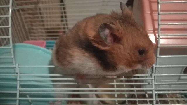 Здрасьте, а есть че? смотреть онлайн