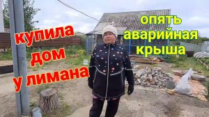 Александровка. Вылупление  цыплят. Работы на участке. Почему надо снести крышу в курятнике.