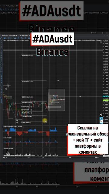 Купил кардано и жду роста, будет ли он большим 27 12 2022 смотреть онлайн