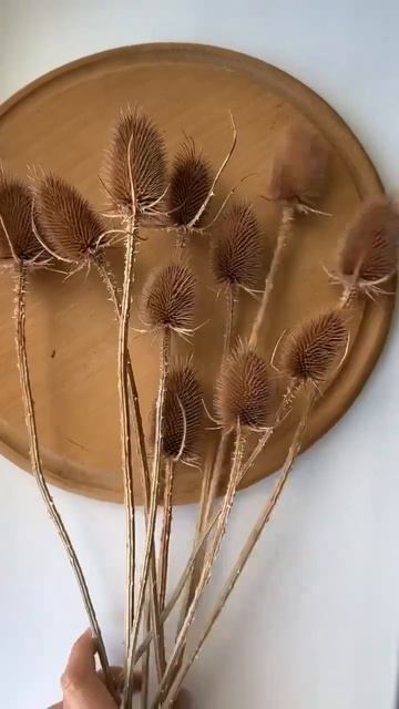 Ворсянка коричнева #декор смотреть онлайн