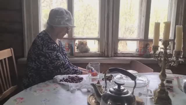 Из Англии в Россию - Обустраиваемся в деревне смотреть онлайн