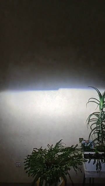 Led лампы мини линзы