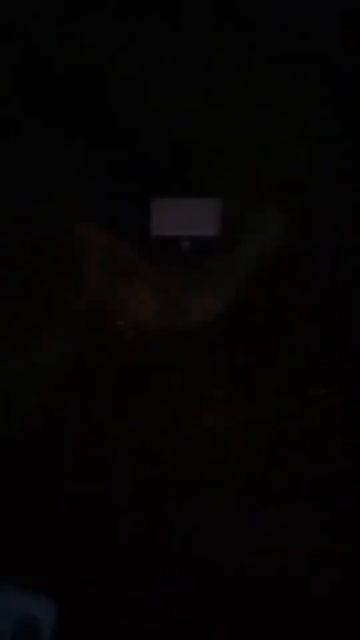 Отзыв №19 ⭐⭐⭐⭐⭐   Уличный прожектор муляж камеры на ?