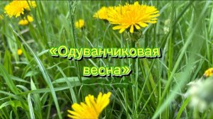 «Одуванчиковая весна» - моя красивая трогательная песнядлядуши