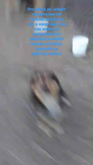 я написала ник Агурец по приколу А,я знаю то что правильно пишется Огурец смотреть онлайн