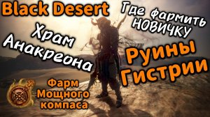 Где фармить НОВИЧКУ в Black Desert | Анакреон, Гистрия.