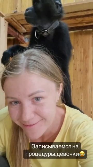 Подарки для животных. Акция 