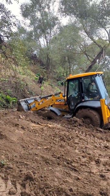 Да там нормальный участок, завози грунт 😁