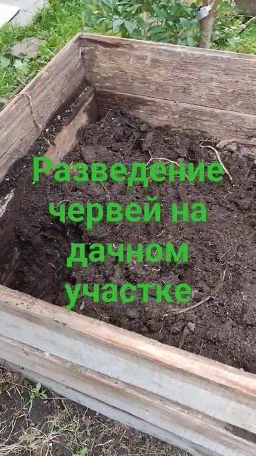 Как улучшить плодородие земли смотреть онлайн