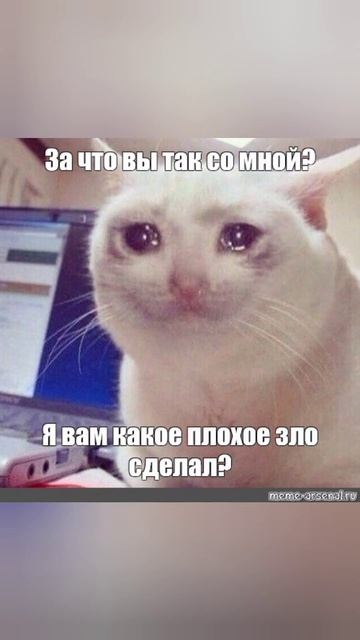 Мемы. Коты. 1 сентября. Работа. Отпуск. смотреть онлайн