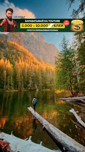 Заработок на коротких видео 2025 смотреть онлайн