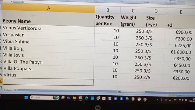 Предложение на 2026год смотреть онлайн