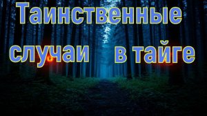 Сибирская тайга