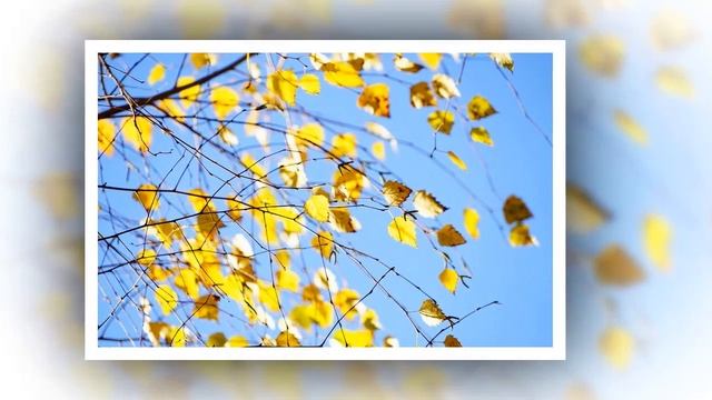 "Одинокая Береза" смотреть онлайн