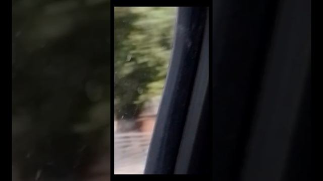 24 часа в машине