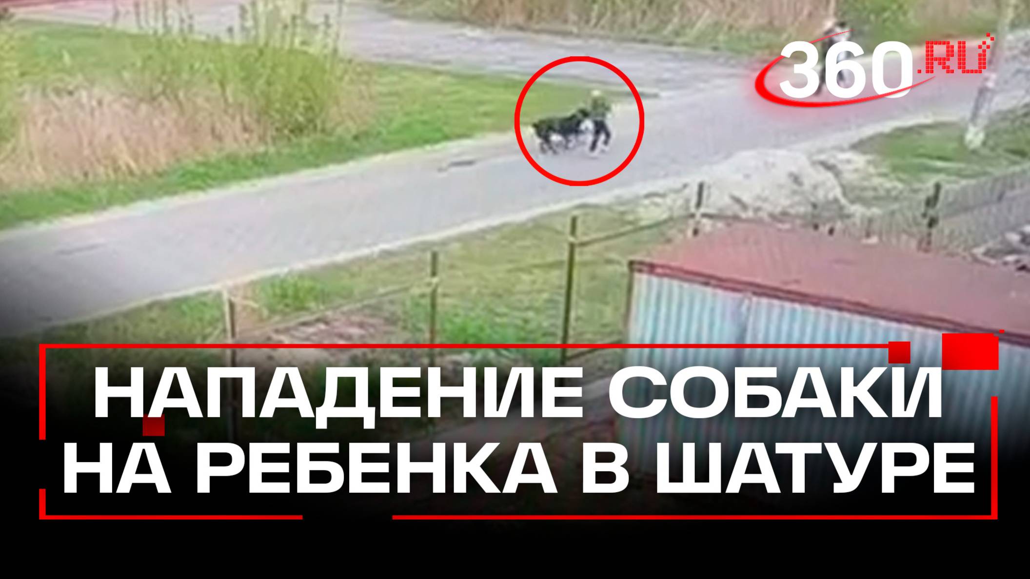 Алабай напал на ребенка в Шатуре: прохожие спасли мальчика смотреть онлайн