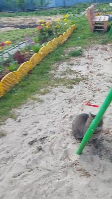 Уютный уголок ...#весна #красота #таинственное смотреть онлайн