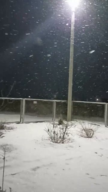 Снегопад. А чем нас удивит фондовый рынок на этой неде? смотреть онлайн