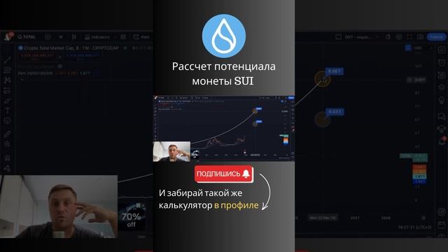 Обзор криптовалюты SUI Network Прогноз Цены Монеты SUI на 2025