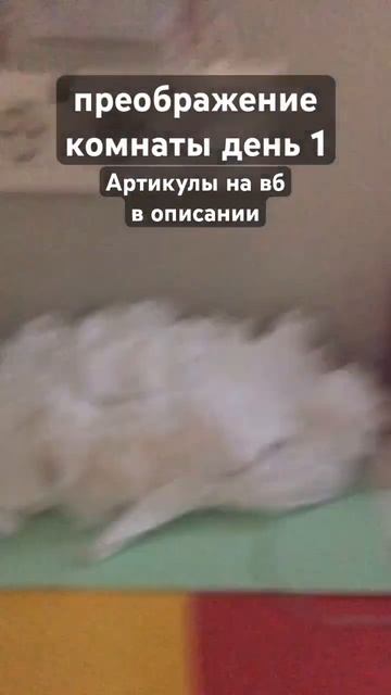 Светодиодная лента: 70565506 , Умная лампочка : 50308913 , а све? смотреть онлайн