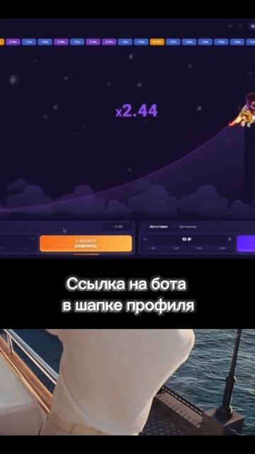 бот высчитывающий процент захода ставки !!!!!!!!!!