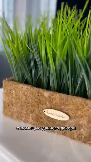 Искусственная осока в кокосовом кашпо смотреть онлайн