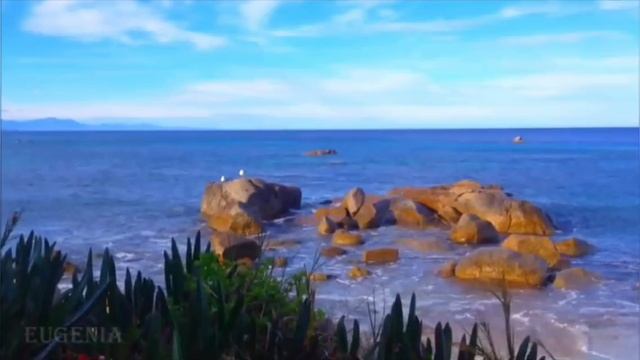 Красивая Азербайджанская песня,senin olsun смотреть онлайн