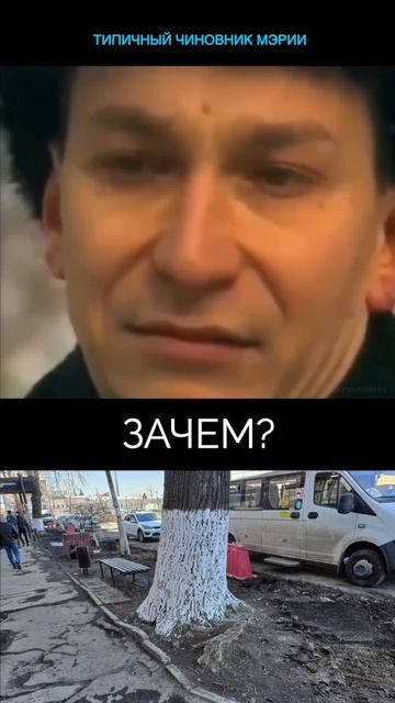 Зачем белят деревья: отвечает типичный чиновник смотреть онлайн