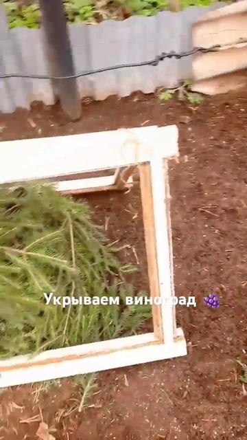 Будем ждать следующее лето смотреть онлайн