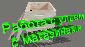 Профессор Кашковский объясняет: как правильно работать с ульем Дадана-Блатта с магазинами