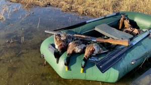 Охота на селезней кряквы. 1 мая 2025г.