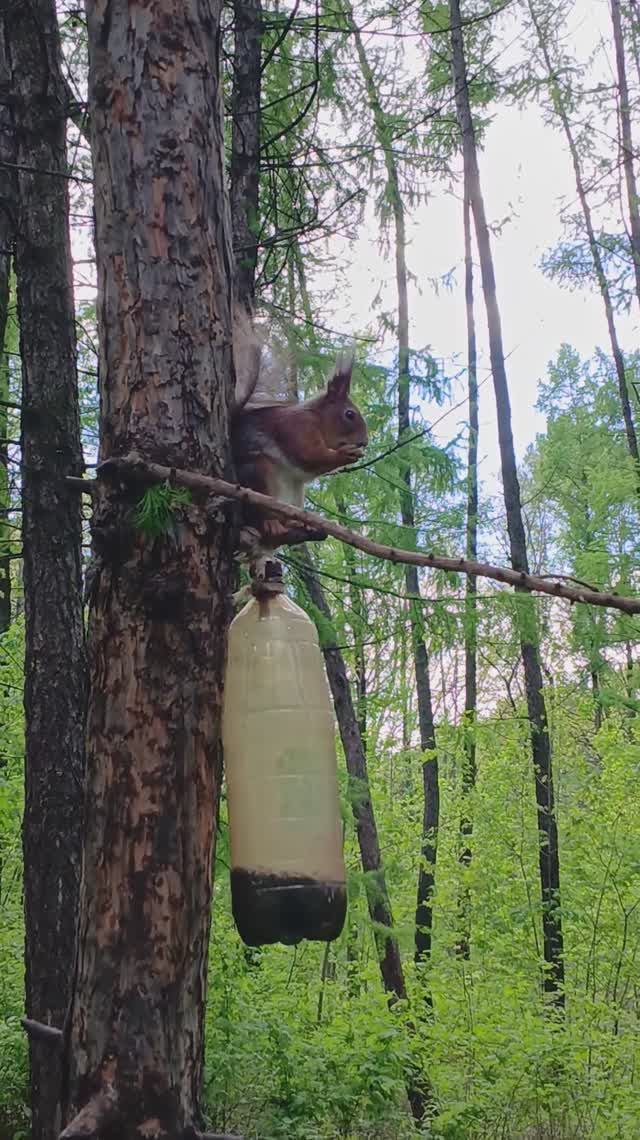 ОБЕД ПО РАСПИСАНИЮ... смотреть онлайн