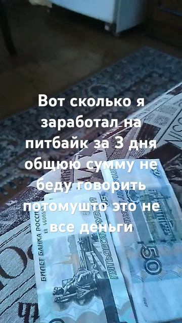 заработок на питбайк 2-3 день смотреть онлайн