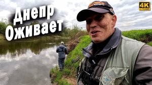 Днепр живой. Рыбалка на спиннинг с берега