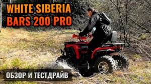 Поездил на "детском квадроцикле" в лесу и вот что я понял! Тест White Siberia Bars 200 кубов