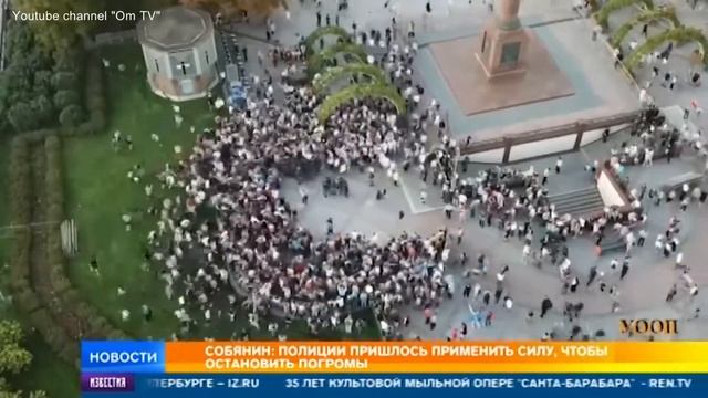 Разгон пугливого стада баранов смотреть онлайн