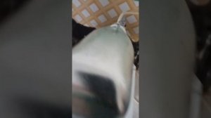 как проверить лампу ДРЛ без дросселя #lamp