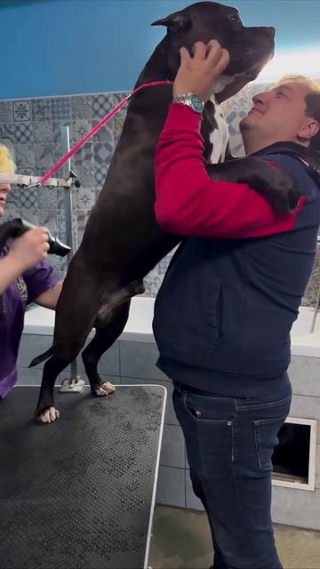 Страшно, очень страшно…😂😂😂