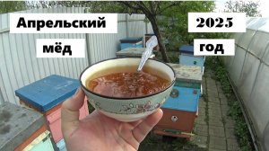 Апрельский мёд 2025 года.