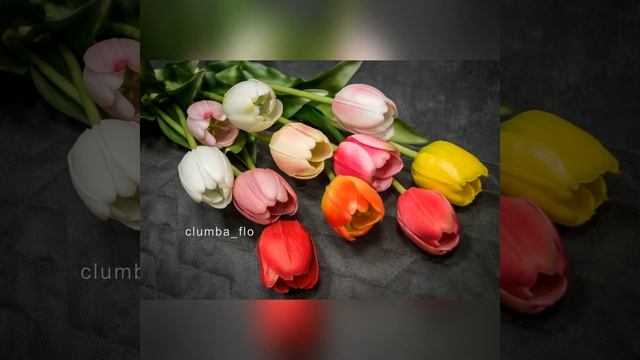 Тренды в озеленении 2024 #тренды #trend смотреть онлайн