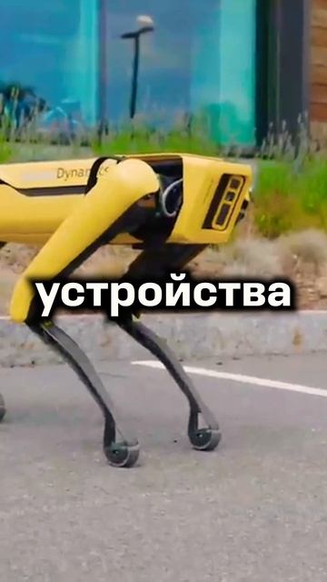 🤬🤬$205 000 000 НА СВАЛКЕ! #btc #crypto #scam #crypto #криптовалюта #ин? смотреть онлайн