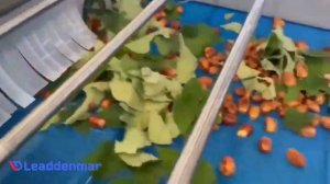 Сушка туннельного типа Leaddenmar Drying Conveyor Pro Vibro