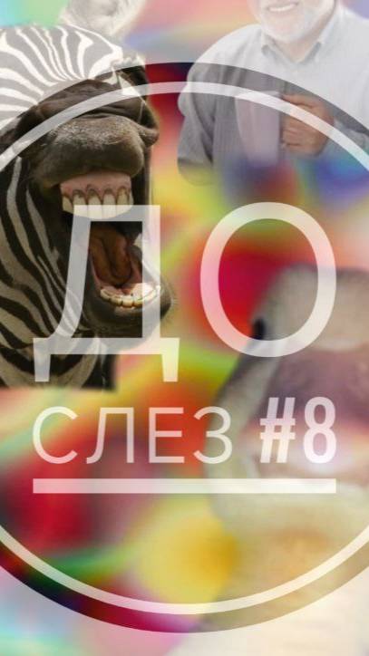 Подборка смешных роликов про животных #8. Ржу не могу! смотреть онлайн