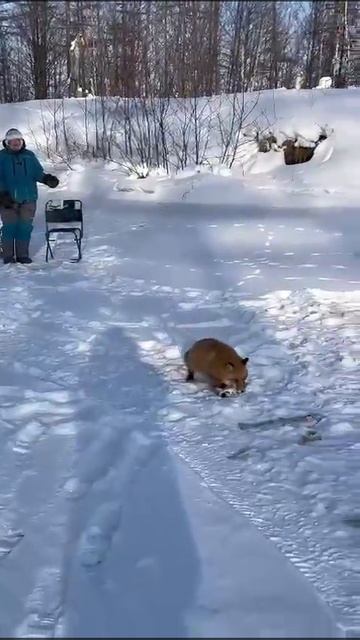АХ, какая Рыжая... смотреть онлайн