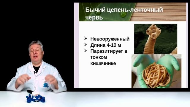 Тайна витамина В12 раскрыта!