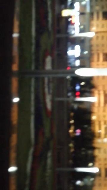 серия 5 гуляем возле большой клумбы с цветами Казахста