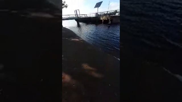 Bayram Xelilov в прямом эфире! смотреть онлайн