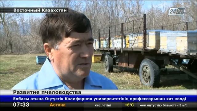 Пчеловод из Урджарского района разводит более 200 породистых пчел смотреть онлайн