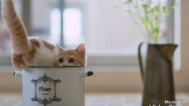 Позитивное настроение смотреть онлайн